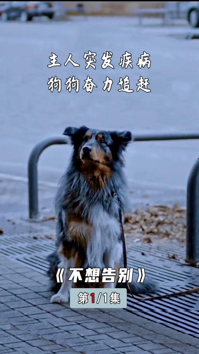 篮球解说员突发疾病,无法参加下一场比赛转播 篮球解说员突发疾病,无法参加下一场比赛转播