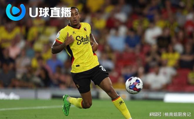 包含沃特福德迎来胜利,英超战绩有所好转的词条