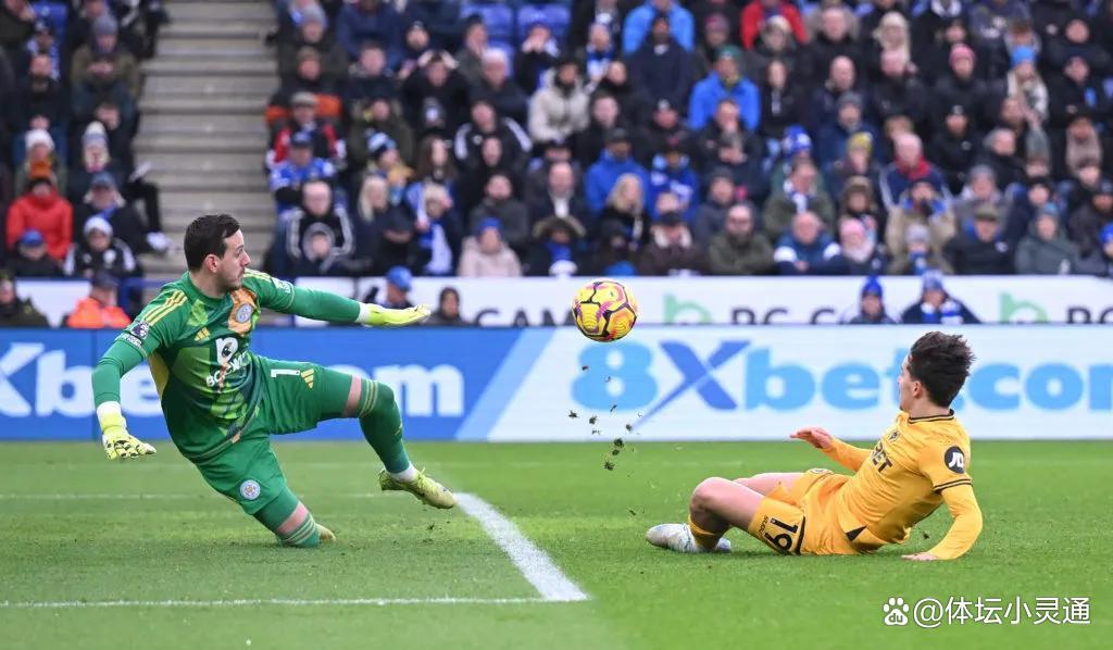 狼队客场不敌布莱顿，遭遇两连败