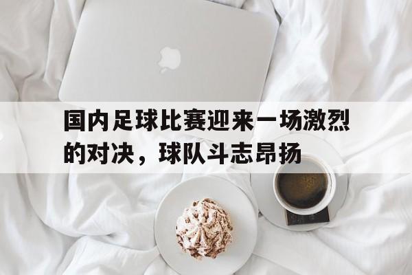 关于国内足球比赛迎来一场激烈的对决,球队斗志昂扬的信息