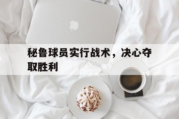 关于秘鲁球员实行战术，决心夺取胜利的信息