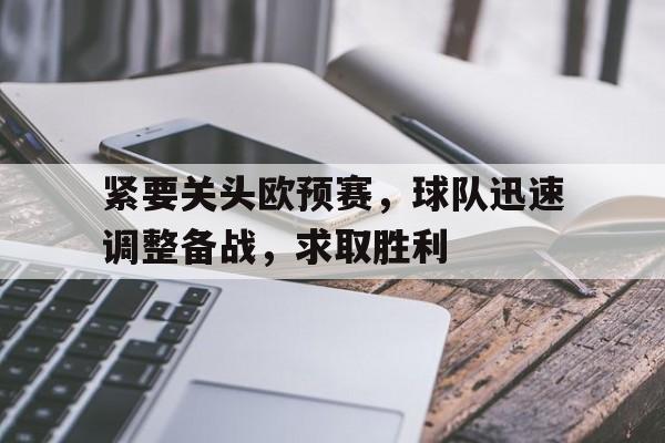 紧要关头欧预赛，球队迅速调整备战，求取胜利的简单介绍