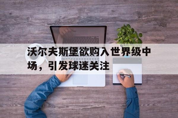 包含沃尔夫斯堡欲购入世界级中场，引发球迷关注的词条